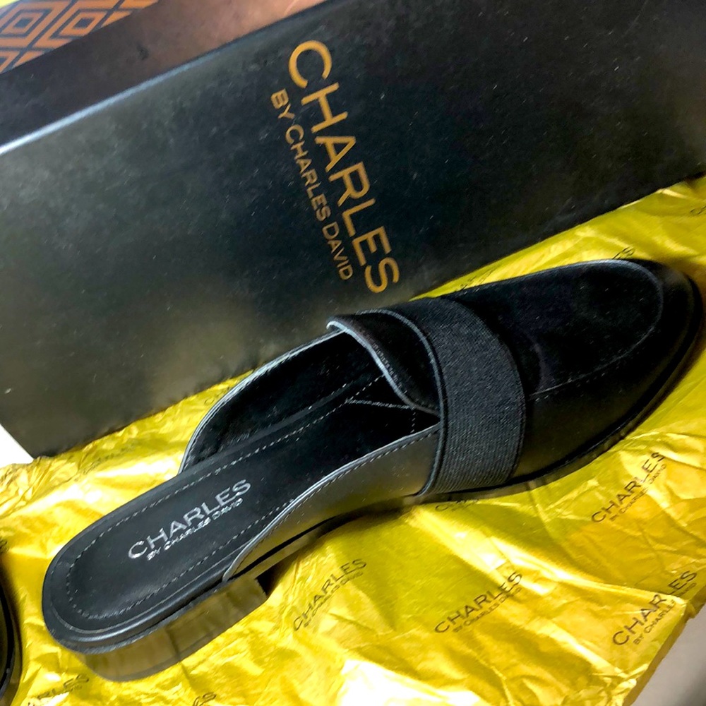 Charles By Charles David - image 1